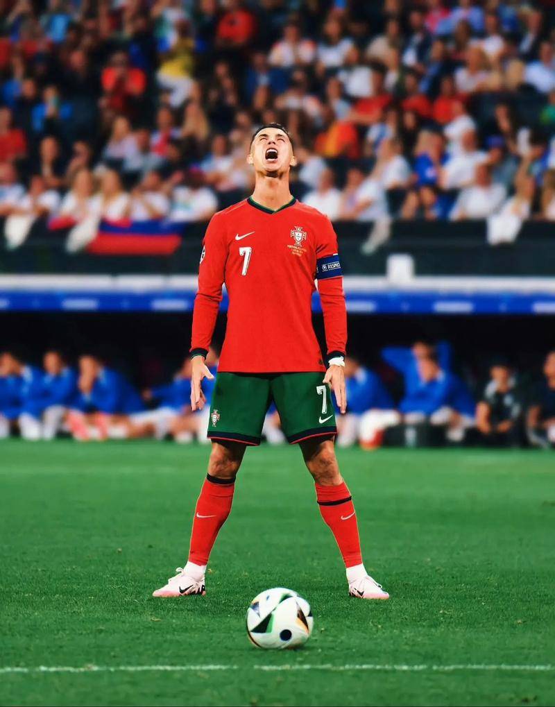 澳超第8轮裁判选派：克尔西执法西悉尼vs狮吼，埃文斯在列